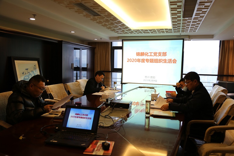 錦麟化工黨支部組織生活會(huì).JPG