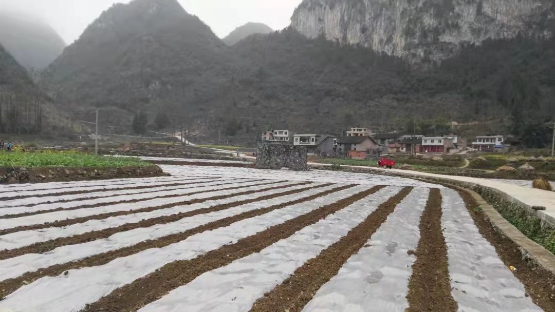 微信圖片_20210916160749.jpg
