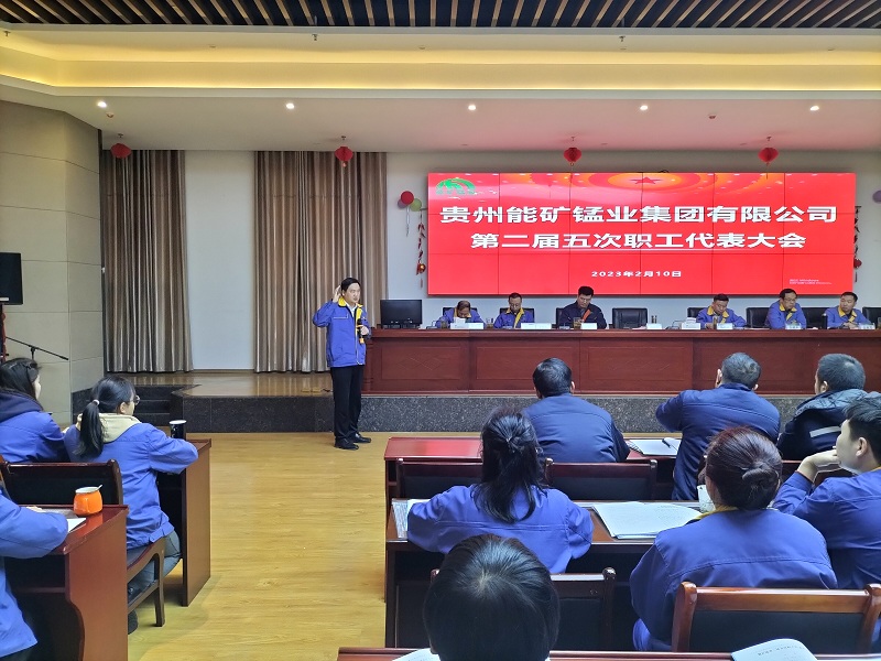 圖2-黨委書記譚曉軍作總結(jié)講話.jpg