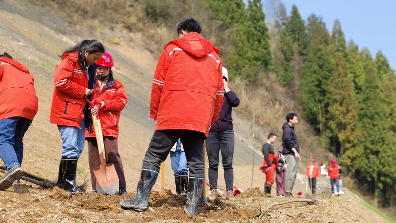 植樹節(jié)2.jpg